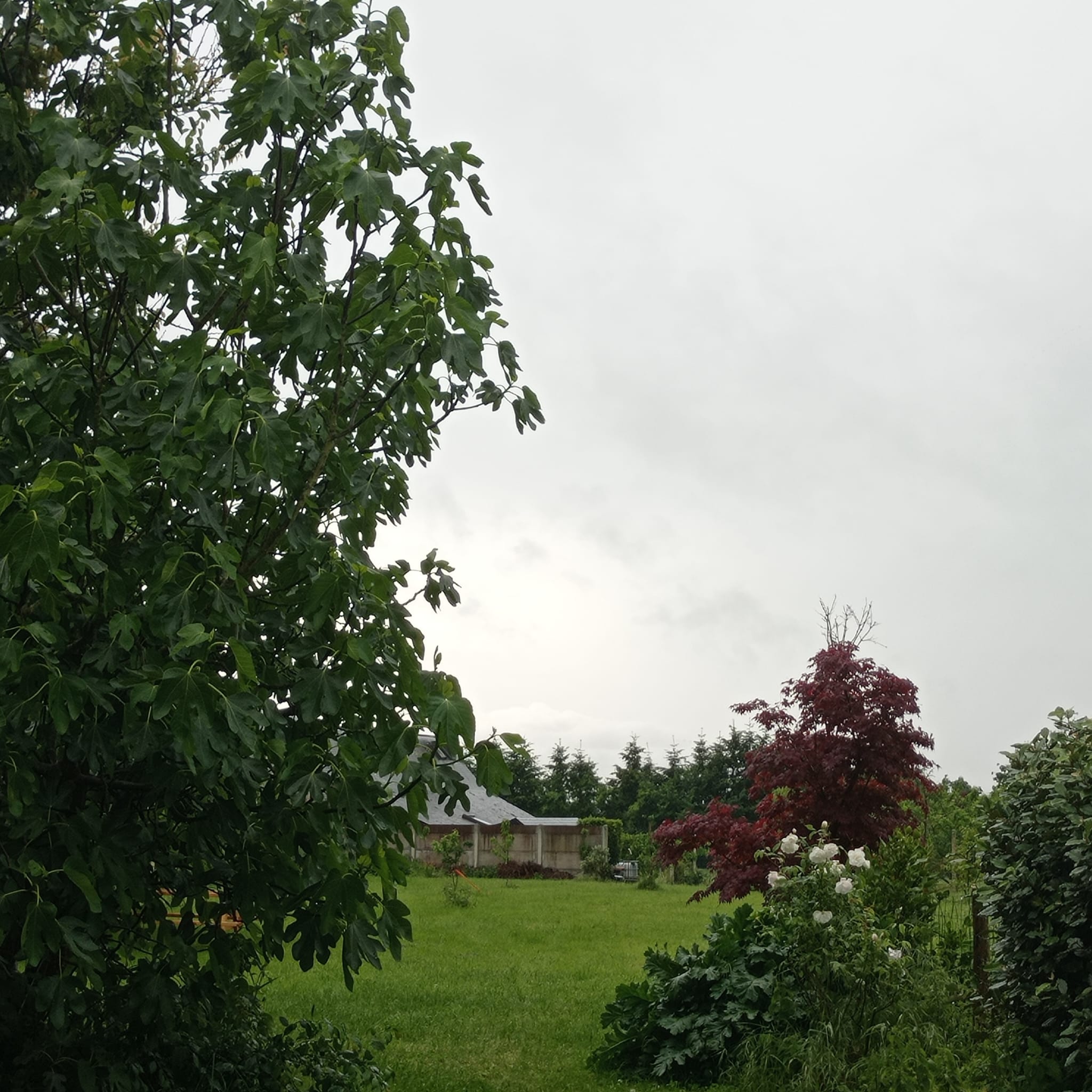 Vue sur le jardin fleuri et la façade en pierre du gîte