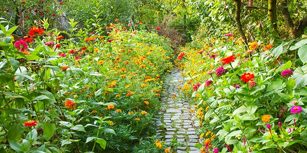 Jardin & Nature