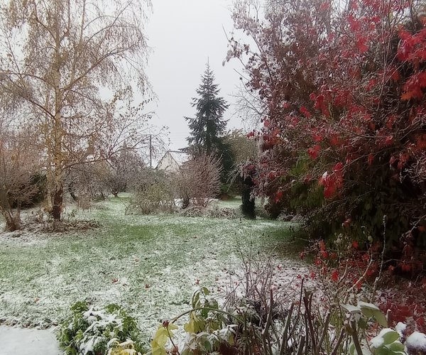 Jardin & Nature